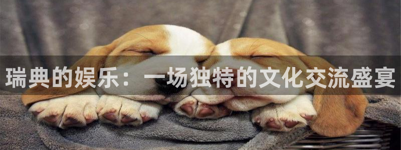 恒行5娱乐：瑞典的娱乐：一场独特的文化交流盛宴