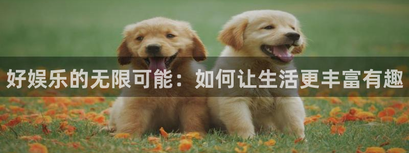 恒行5官网体验k88v典cc：好娱乐的无限可能：如何让生活更丰富有趣