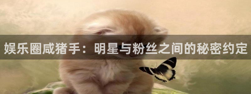 恒行5：娱乐圈咸猪手：明星与粉丝之间的秘密约定