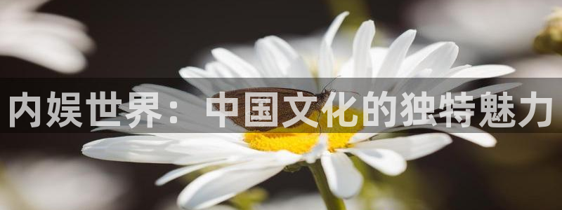 恒行5官网体验k88v典cc