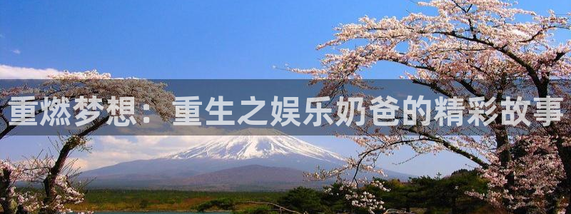 恒行5娱乐：重燃梦想：重生之娱乐奶爸的精彩故事
