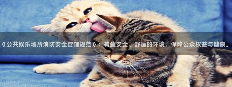 恒行5：《公共娱乐场所消防安全管理规范》：构建安全、舒适的环境，保障公众权益与健康。