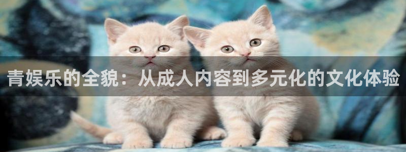 恒行5官网体验k88v典cc：青娱乐的全貌：从成人内容到多元化的文化体验